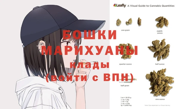ГАЛЛЮЦИНОГЕННЫЕ ГРИБЫ Арсеньев