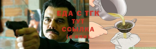 прущие грибы Армянск