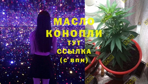 твердый Аркадак