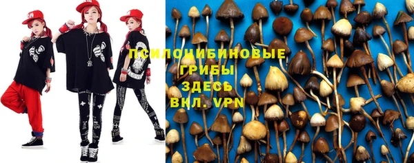 ГАЛЛЮЦИНОГЕННЫЕ ГРИБЫ Арсеньев