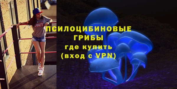 твердый Аркадак