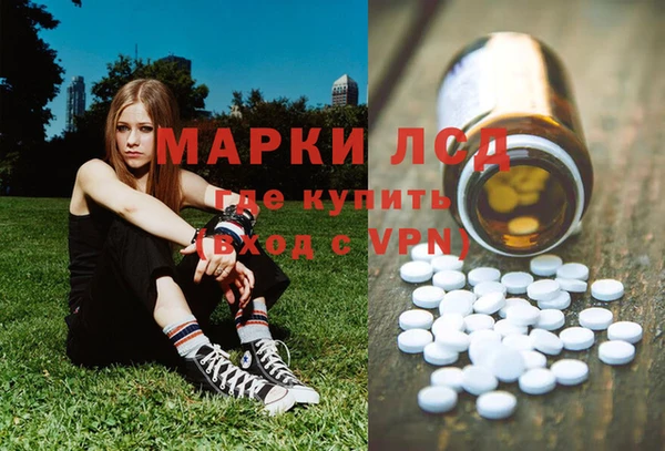 прущие грибы Армянск