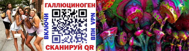 Галлюциногенные грибы Psilocybine cubensis  Кирс 