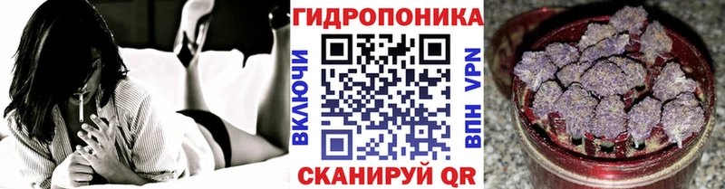 Марихуана конопля  Кирс 